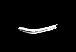 Exact grayscale alpha channel of the exported left-turn asset; white and gray mark its nonzero opacity.
